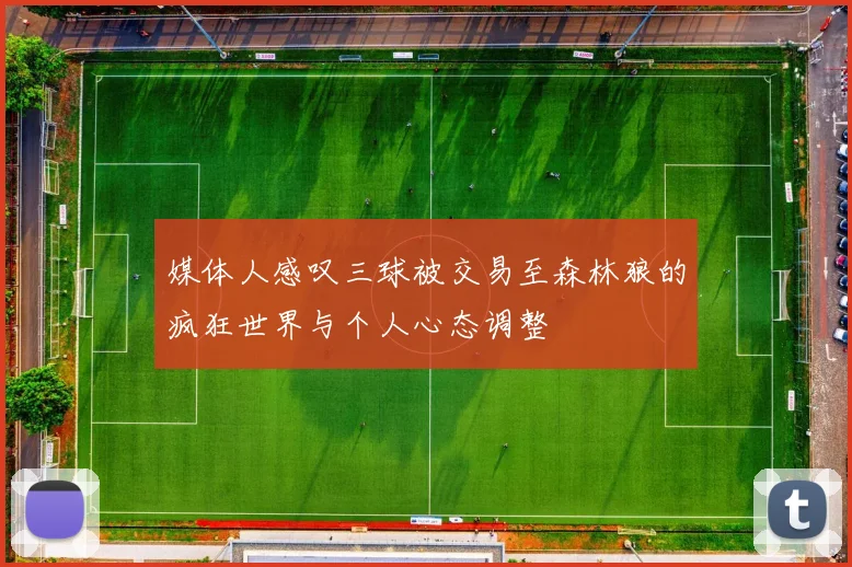 媒体人感叹三球被交易至森林狼的疯狂世界与个人心态调整