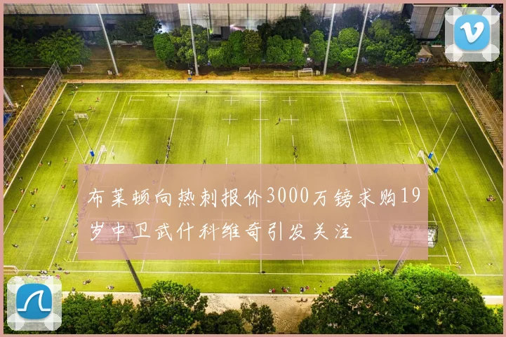 布莱顿向热刺报价3000万镑求购19岁中卫武什科维奇引发关注